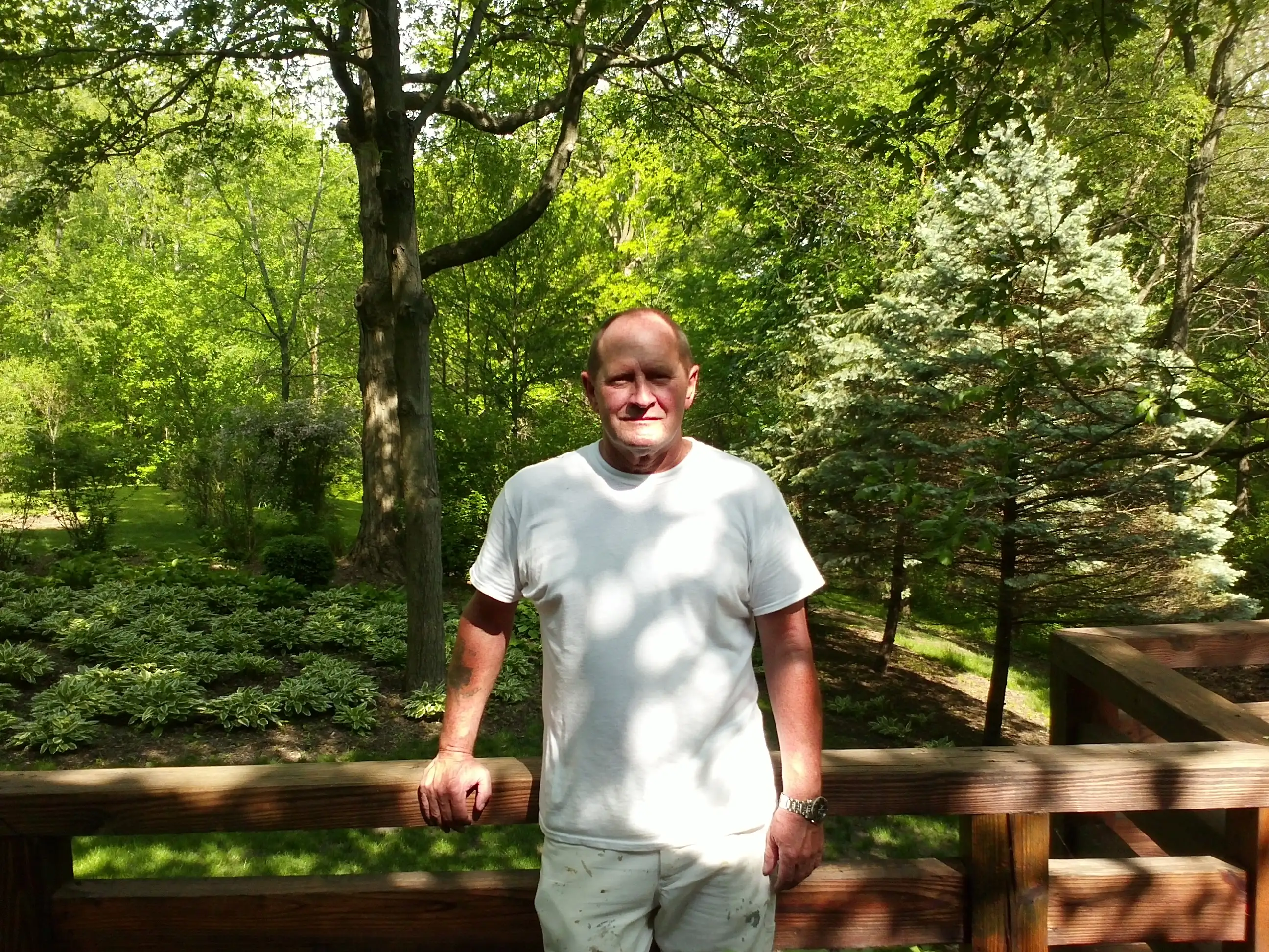 About Shoemaker Painting